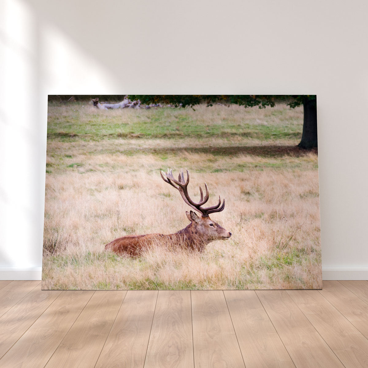 The Stag Wall Art