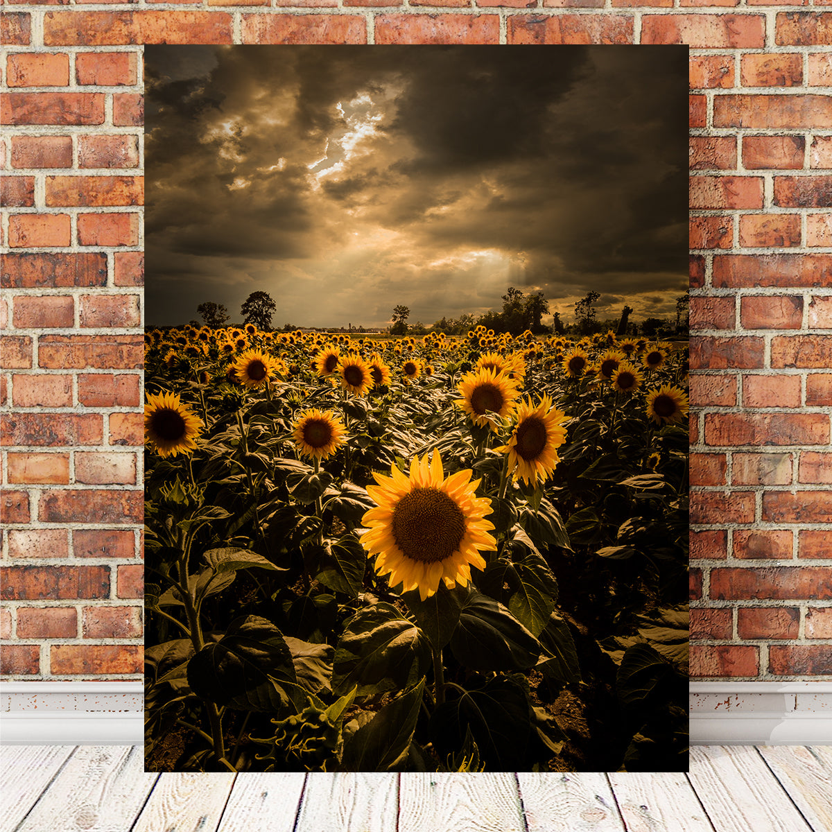 Overcast Sunflowers Wall Art