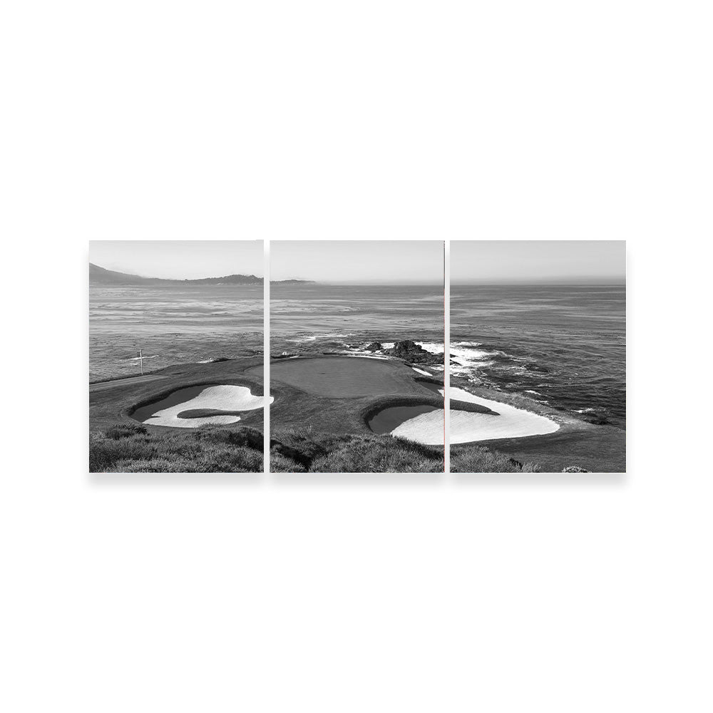 Pebble Beach Grayscale Wall Art