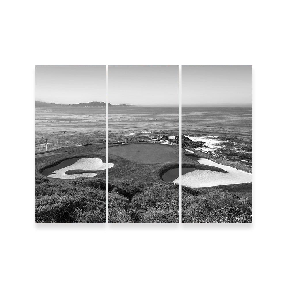 Pebble Beach Grayscale Wall Art