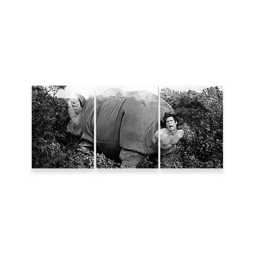 Ace Ventura Rhino Birth - Grayscale Wall Art