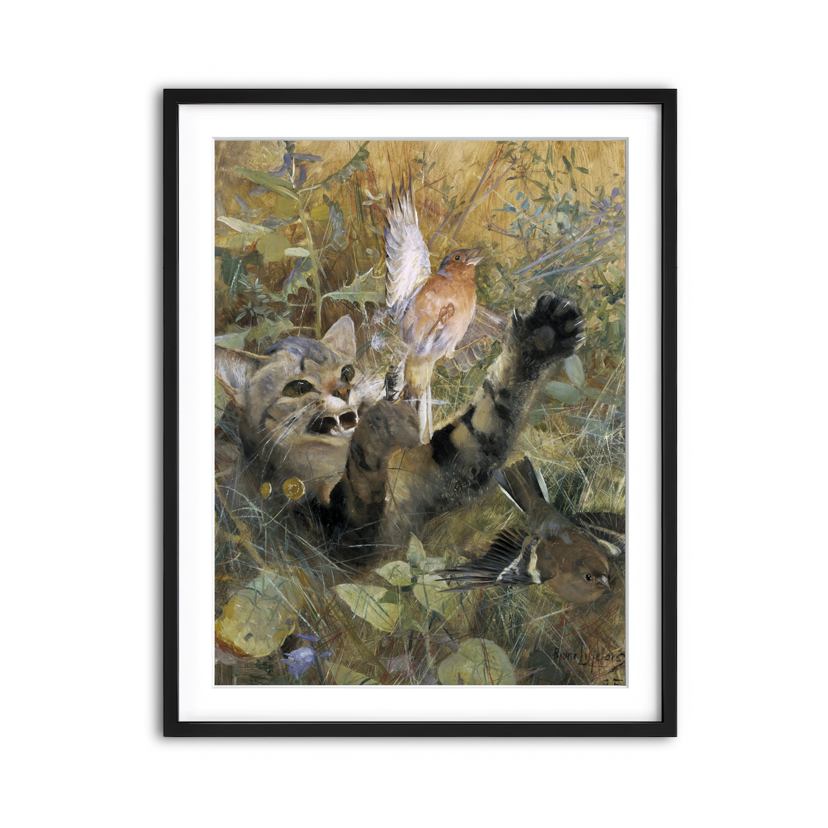 Framed Print 3x4 Black