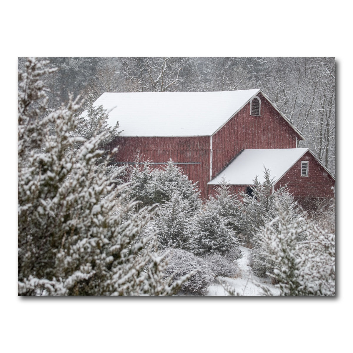 AUTO-MOCKUP WHITE | A Cold Silence | 1 Piece | Gallery Wrap Canvas | group=4x3