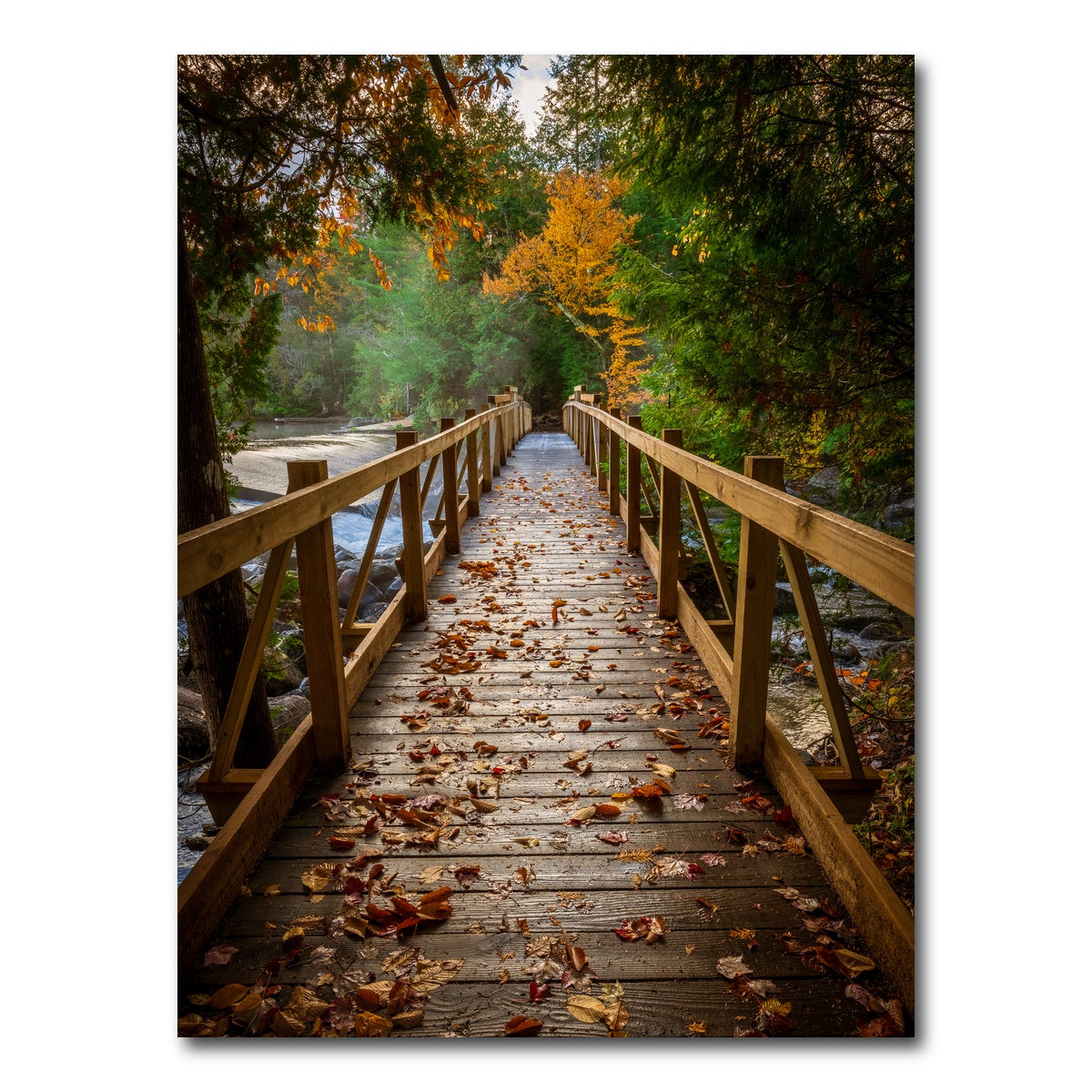 AUTO-MOCKUP WHITE | A Walk in the Woods | 1 Piece | Gallery Wrap Canvas | group=3x4