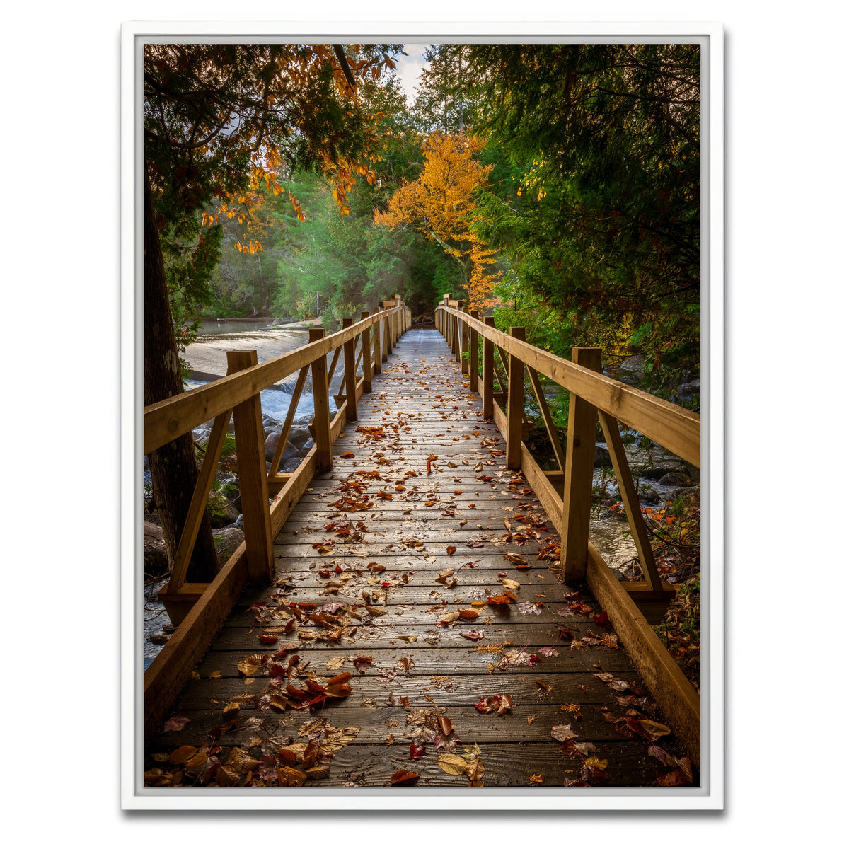 AUTO-MOCKUP WHITE | A Walk in the Woods | 1 Piece | White Framed Canvas | group=3x4