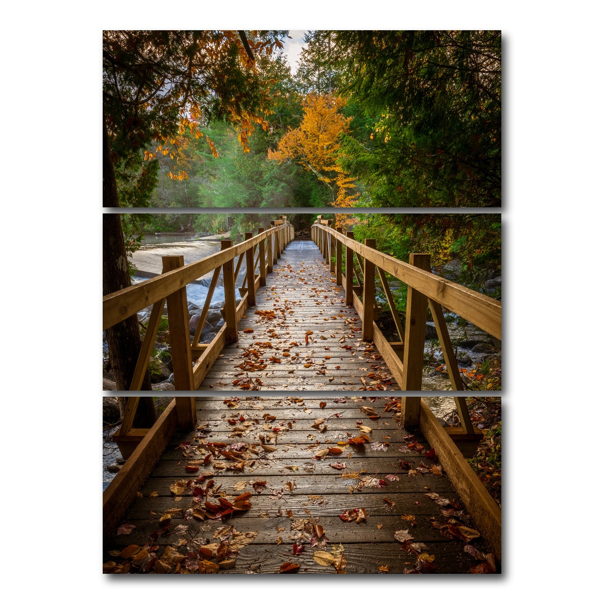 AUTO-MOCKUP WHITE | A Walk in the Woods | 3 Piece | Gallery Wrap Canvas | group=8x18_stacked