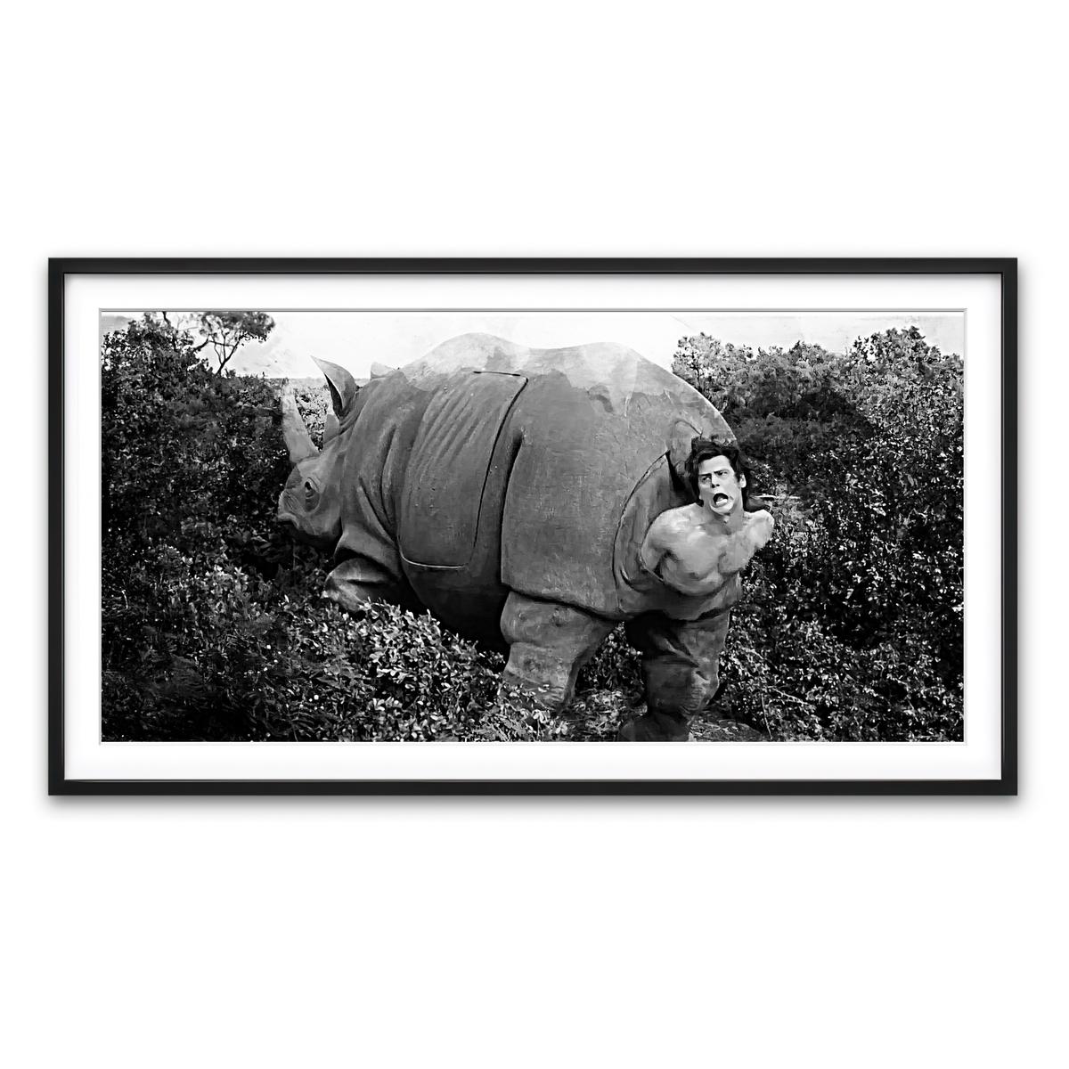 Framed Print 2x1 Black