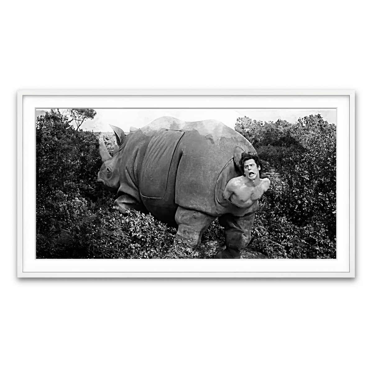 Framed Print 2x1 White