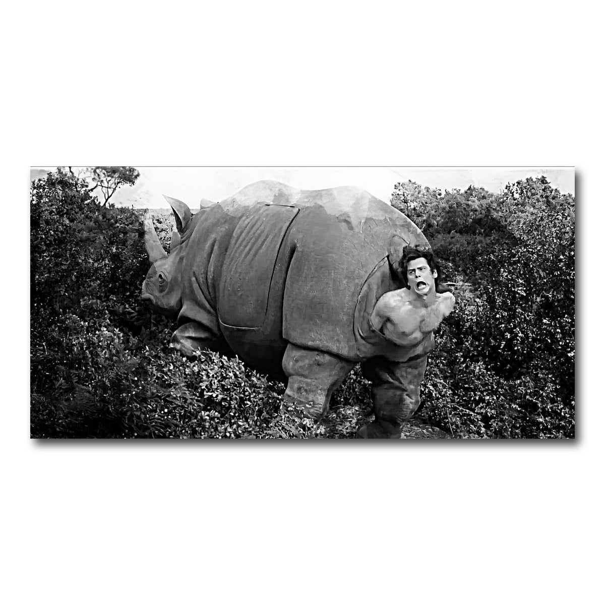 AUTO-MOCKUP WHITE | Ace Ventura Rhino Birth - Grayscale | 1 Piece | Gallery Wrap Canvas | group=2x1