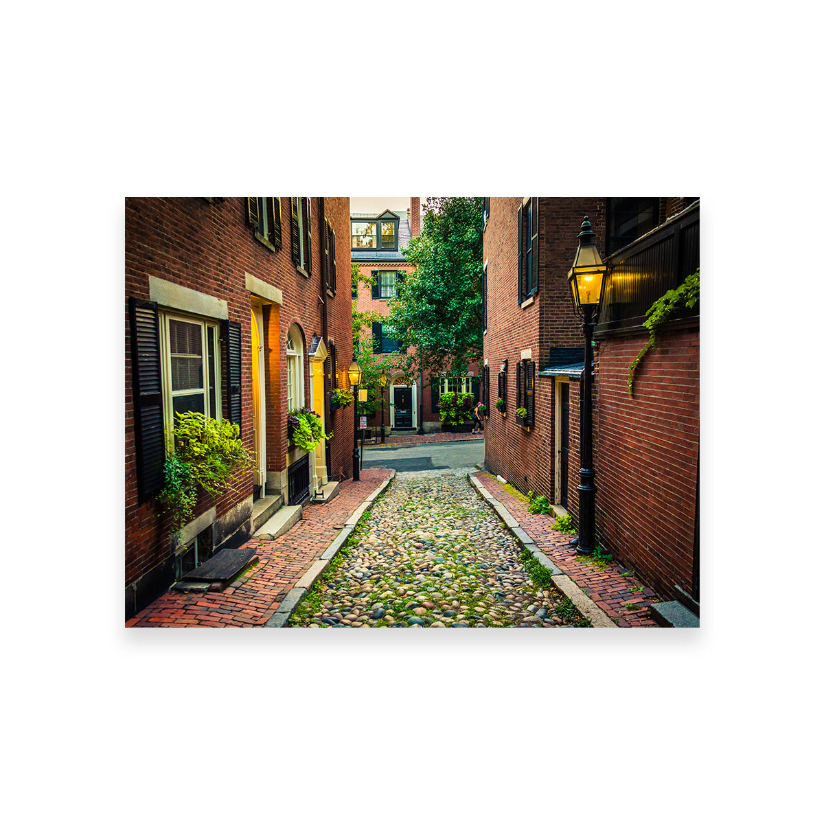 Acorn Street - Beacon Hill