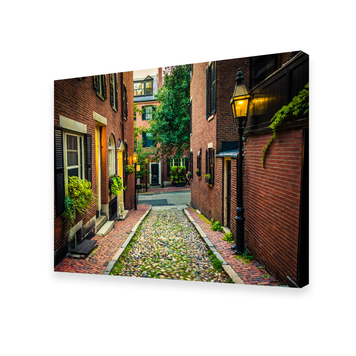 Acorn Street - Beacon Hill