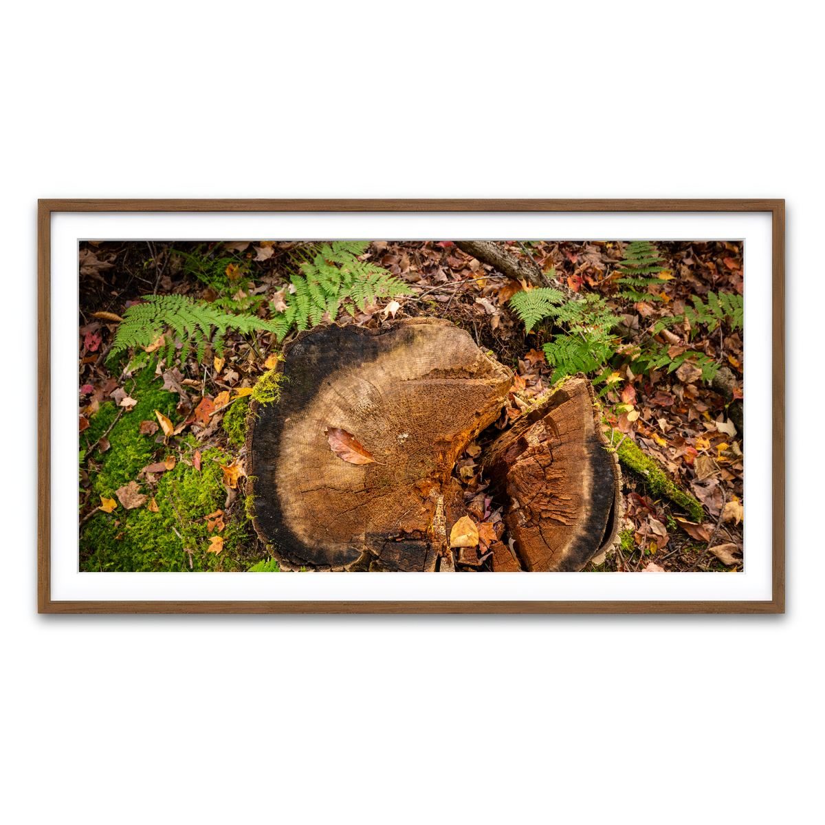 Framed Print 2x1 Walnut