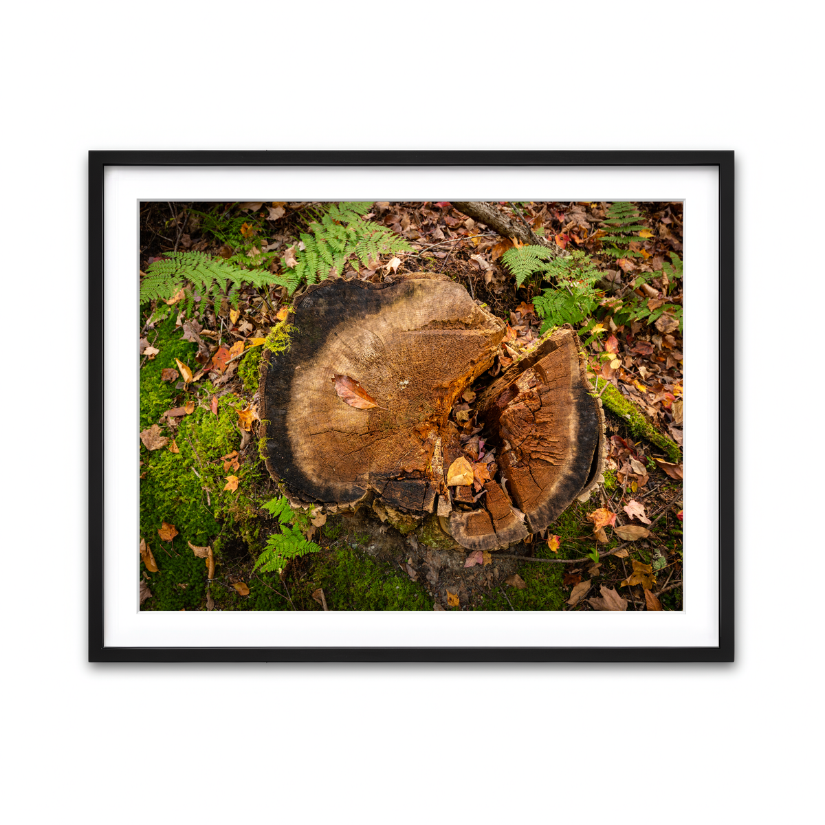 Framed Print 4x3 Black