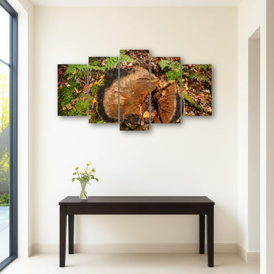 AUTO-MOCKUP ROOM | Adirondack Stump