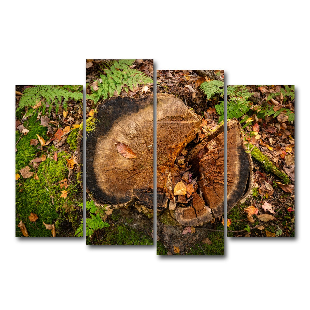 AUTO-MOCKUP WHITE | Adirondack Stump | 4 Piece | Gallery Wrap Canvas | group=4_normal