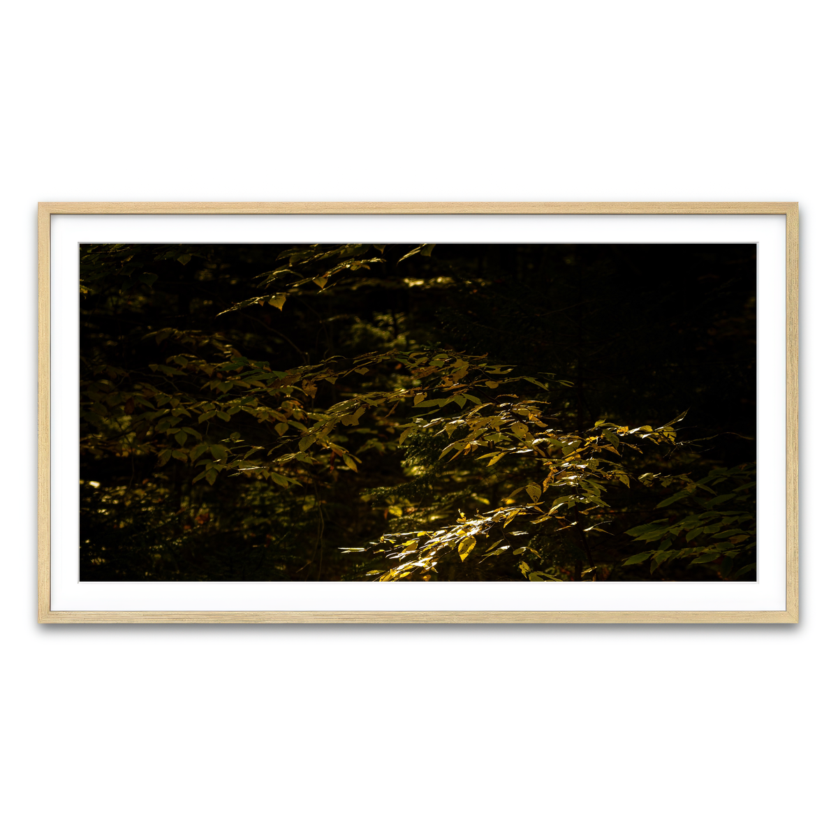Framed Print 2x1 Natural