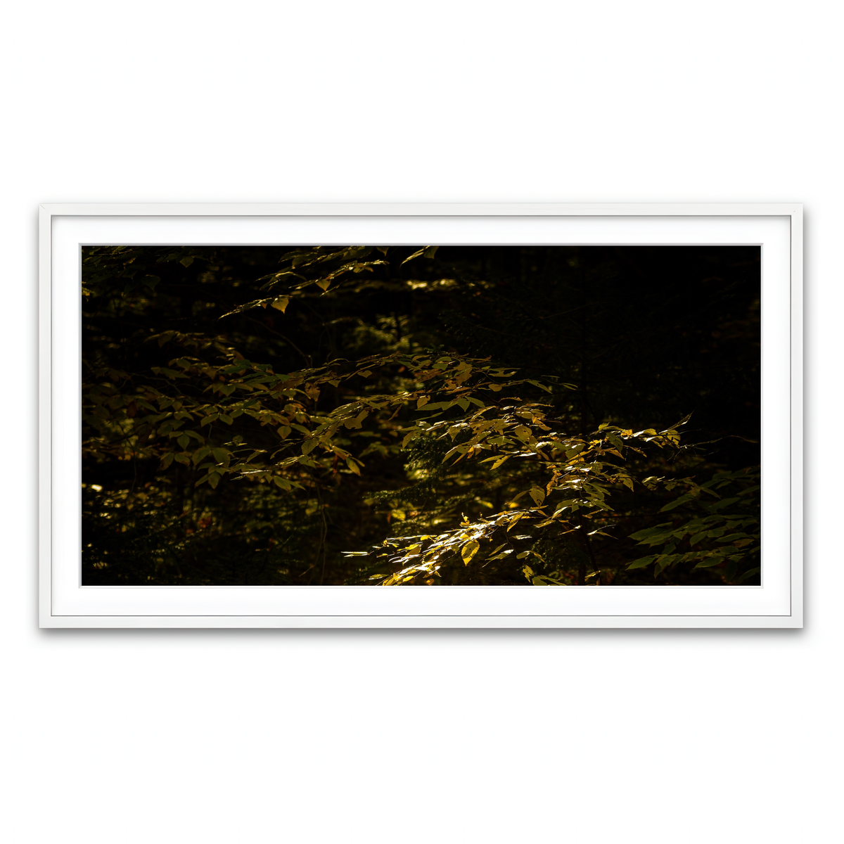 Framed Print 2x1 White