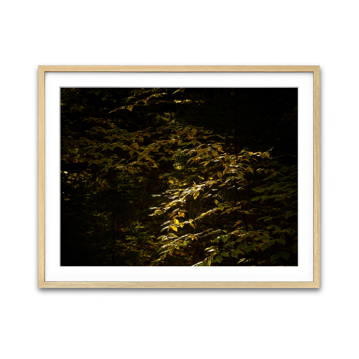 Framed Print 4x3 Natural