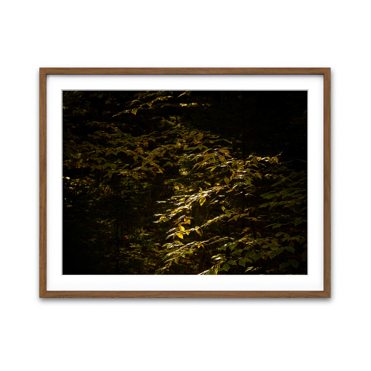 Framed Print 4x3 Walnut