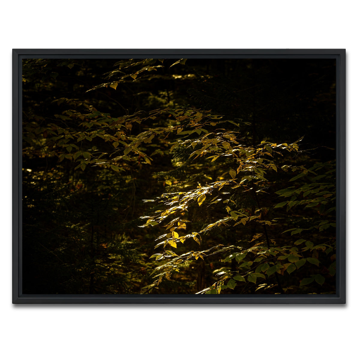 AUTO-MOCKUP WHITE | Adirondack leaves | 1 Piece | Black Framed Canvas | group=4x3