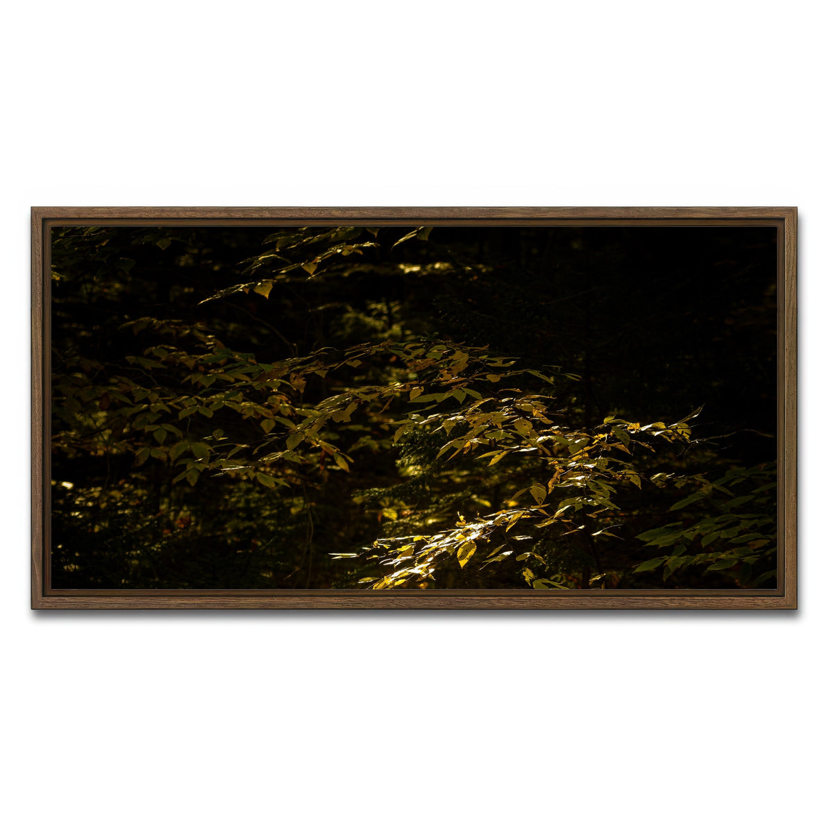 AUTO-MOCKUP WHITE | Adirondack leaves | 1 Piece | Walnut Framed Canvas | group=2x1