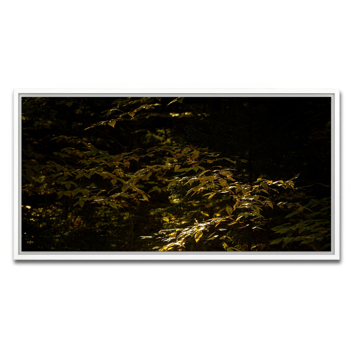 AUTO-MOCKUP WHITE | Adirondack leaves | 1 Piece | White Framed Canvas | group=2x1