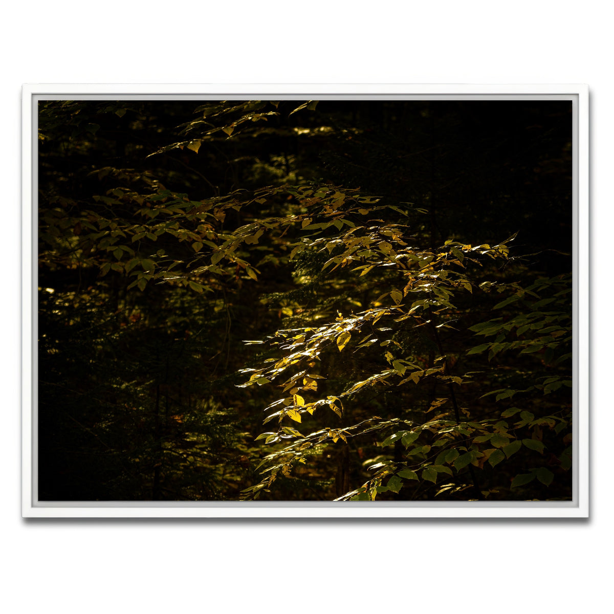 AUTO-MOCKUP WHITE | Adirondack leaves | 1 Piece | White Framed Canvas | group=4x3