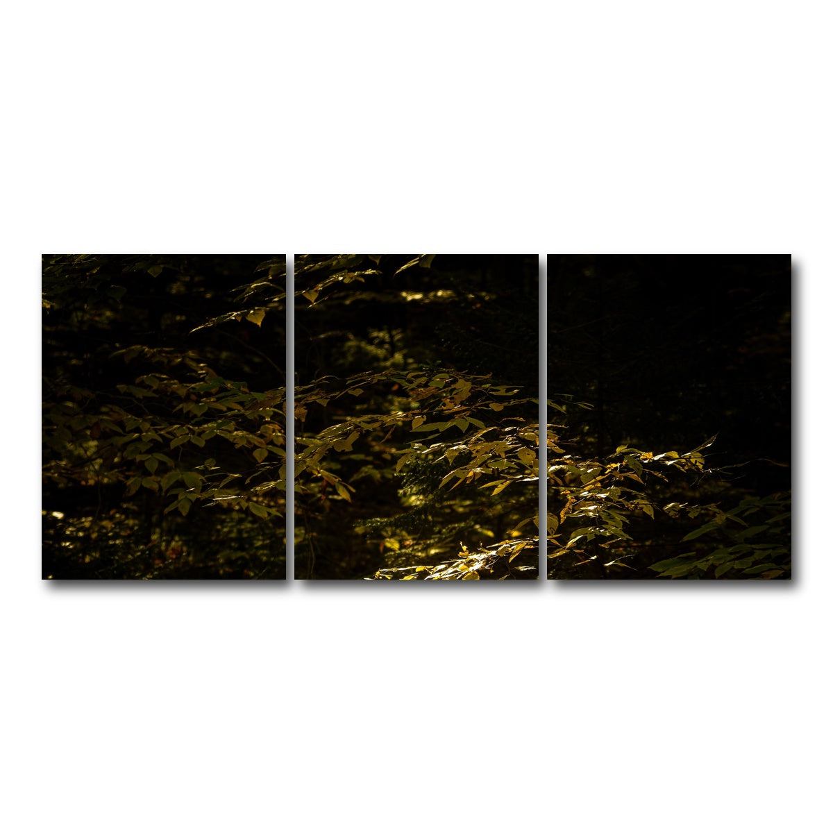 AUTO-MOCKUP WHITE | Adirondack leaves | 3 Piece | Gallery Wrap Canvas | group=18x24