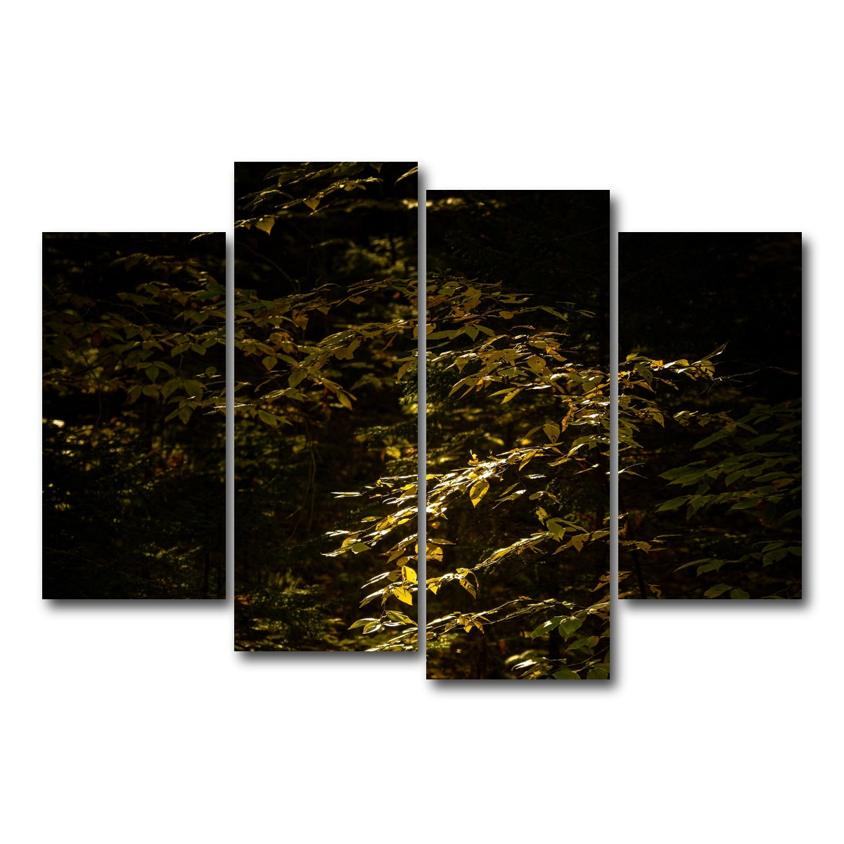 AUTO-MOCKUP WHITE | Adirondack leaves | 4 Piece | Gallery Wrap Canvas | group=4_short