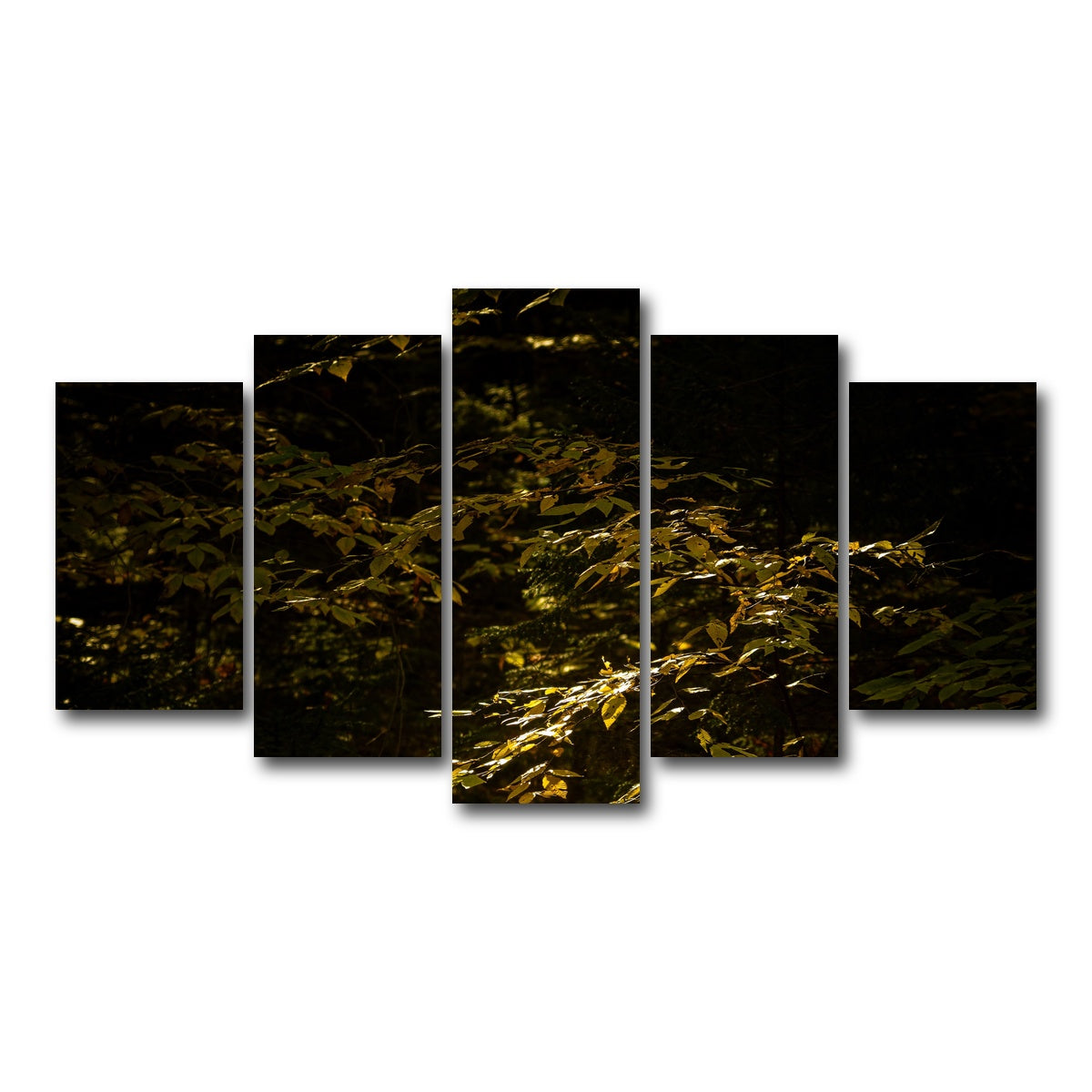 AUTO-MOCKUP WHITE | Adirondack leaves | 5 Piece | Gallery Wrap Canvas | group=5_normal