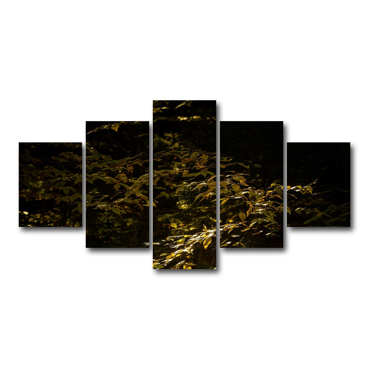 AUTO-MOCKUP WHITE | Adirondack leaves | 5 Piece | Gallery Wrap Canvas | group=5_short