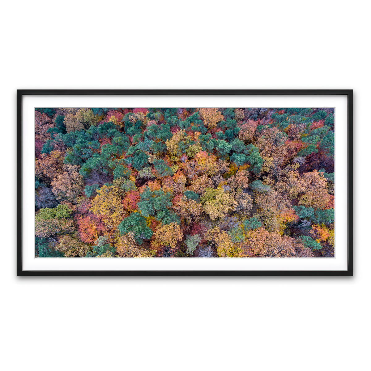 Framed Print 2x1 Black