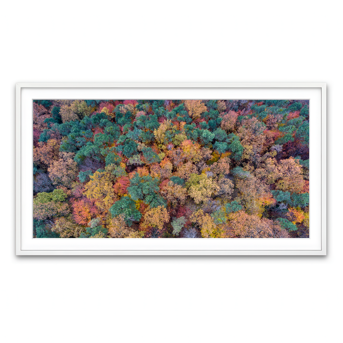 Framed Print 2x1 White