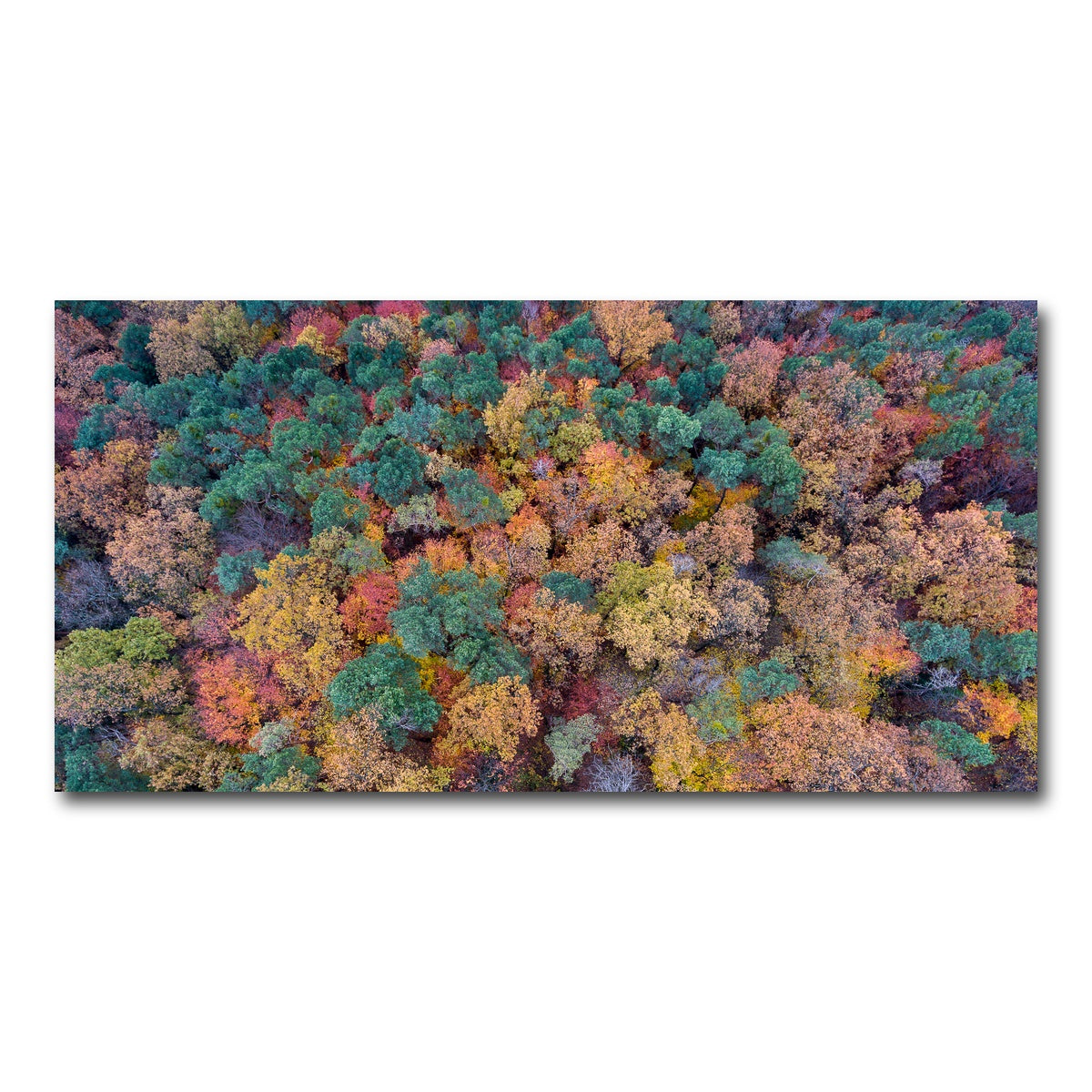 AUTO-MOCKUP WHITE | Aerial Fall | 1 Piece | Gallery Wrap Canvas | group=2x1