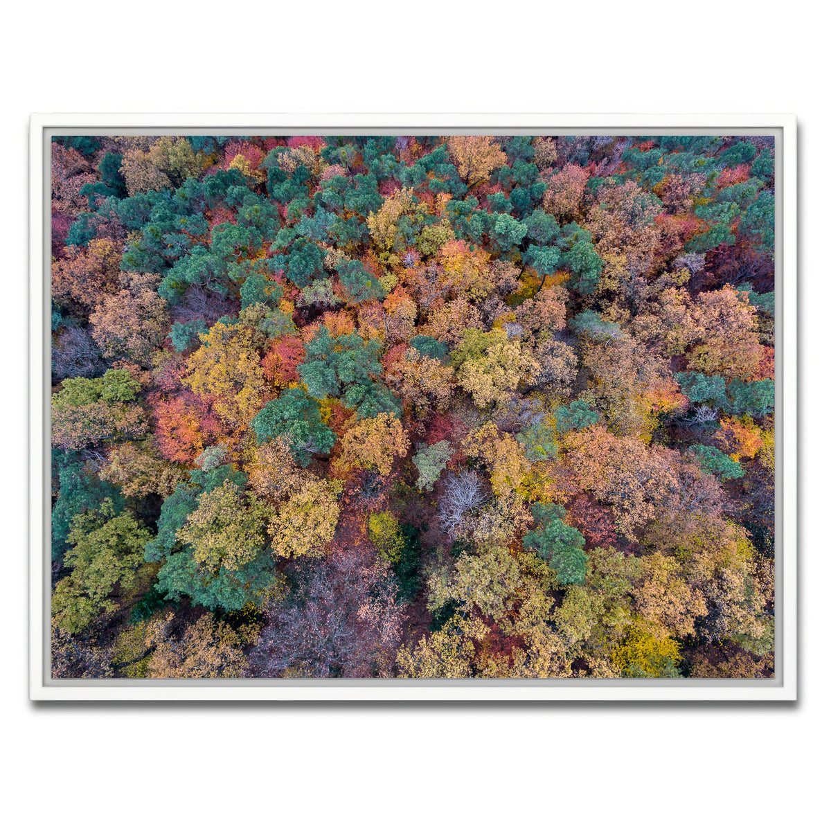 AUTO-MOCKUP WHITE | Aerial Fall | 1 Piece | White Framed Canvas | group=4x3