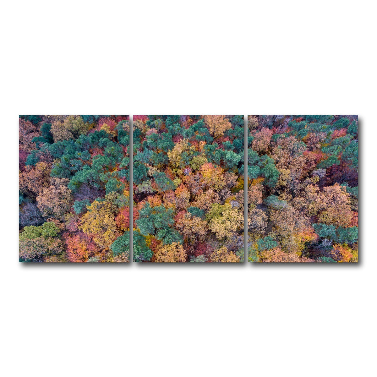 AUTO-MOCKUP WHITE | Aerial Fall | 3 Piece | Gallery Wrap Canvas | group=18x24