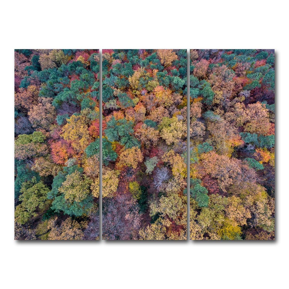 AUTO-MOCKUP WHITE | Aerial Fall | 3 Piece | Gallery Wrap Canvas | group=8x18
