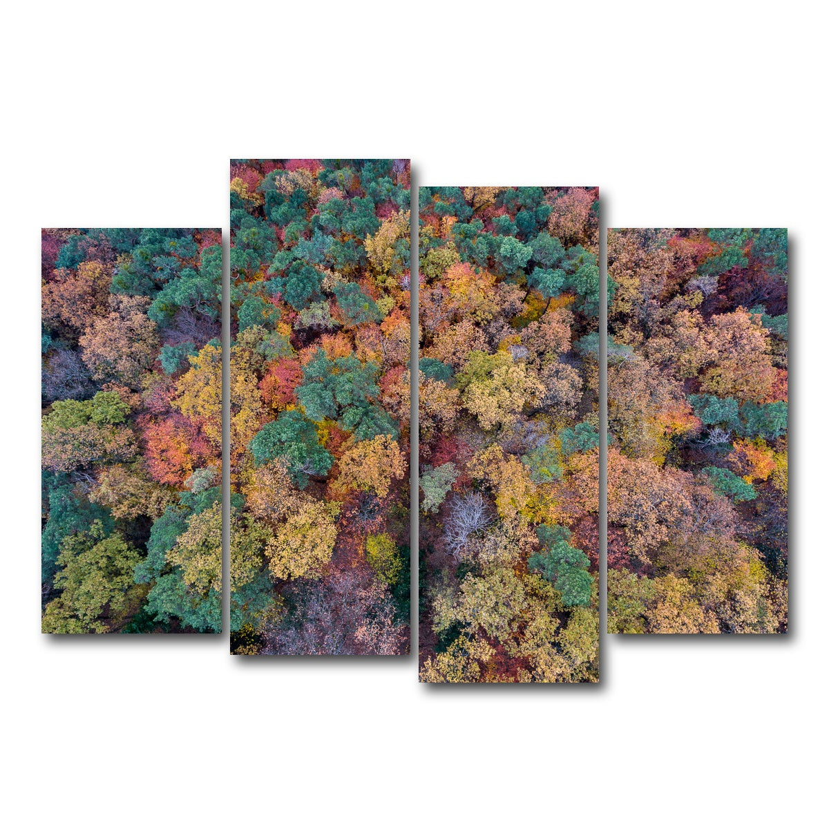 AUTO-MOCKUP WHITE | Aerial Fall | 4 Piece | Gallery Wrap Canvas | group=4_normal