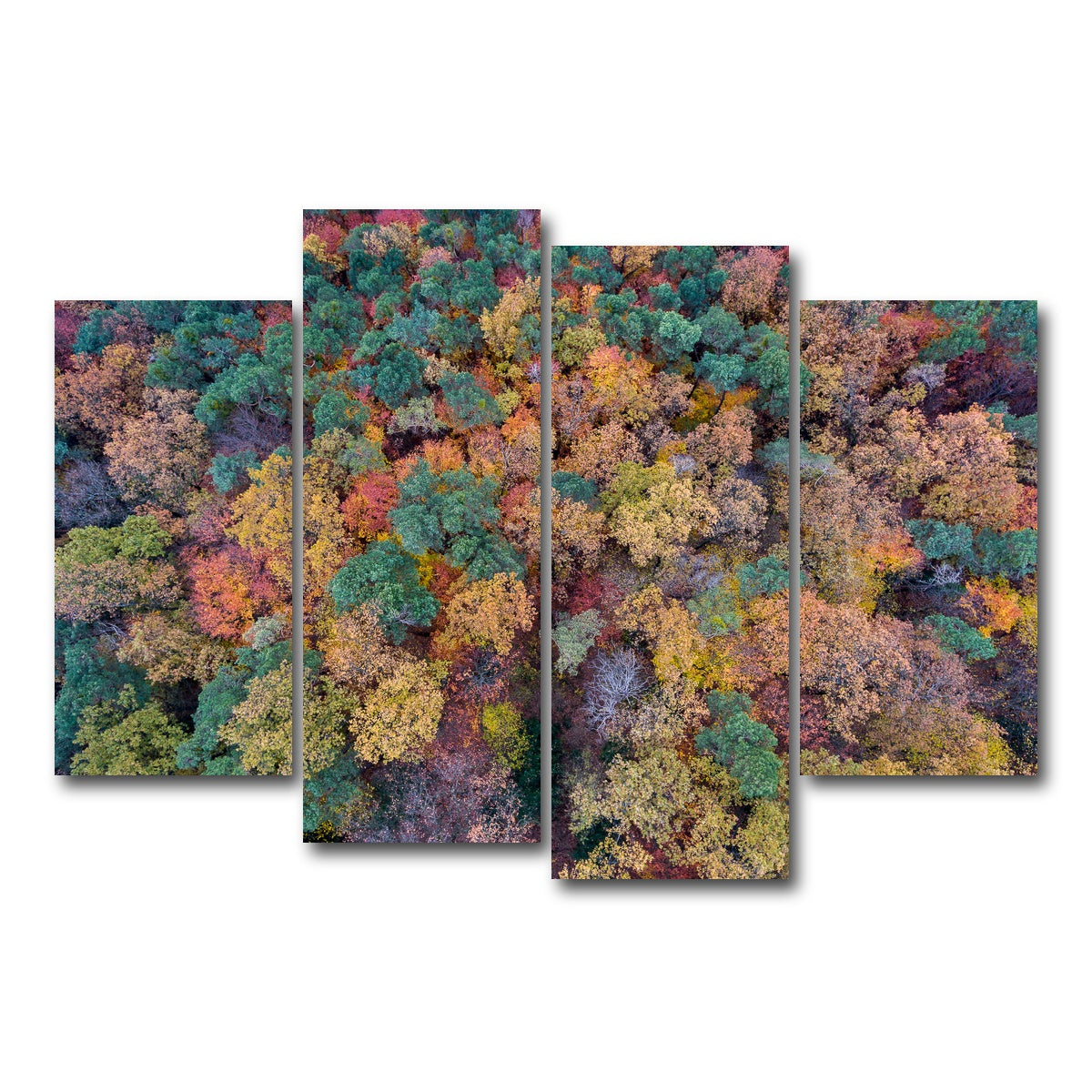 AUTO-MOCKUP WHITE | Aerial Fall | 4 Piece | Gallery Wrap Canvas | group=4_short