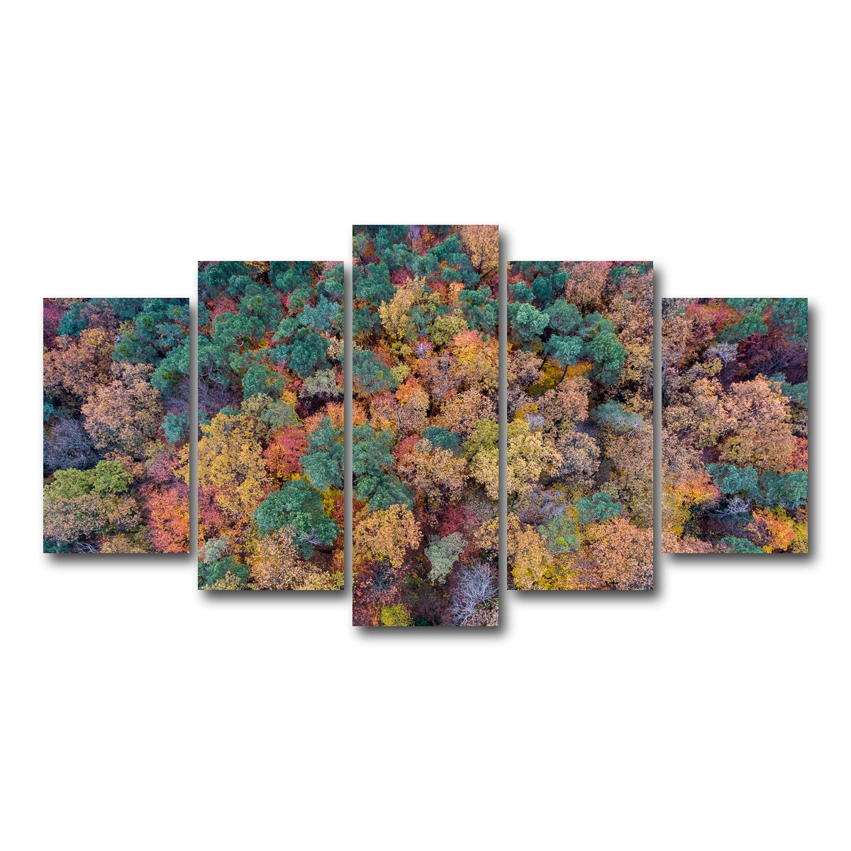 AUTO-MOCKUP WHITE | Aerial Fall | 5 Piece | Gallery Wrap Canvas | group=5_normal