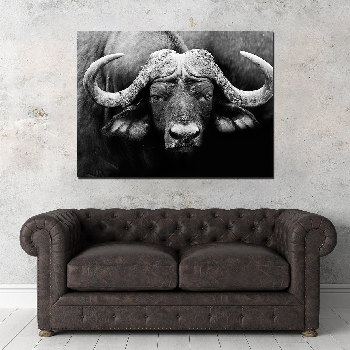 African Cape Buffalo Wall Art