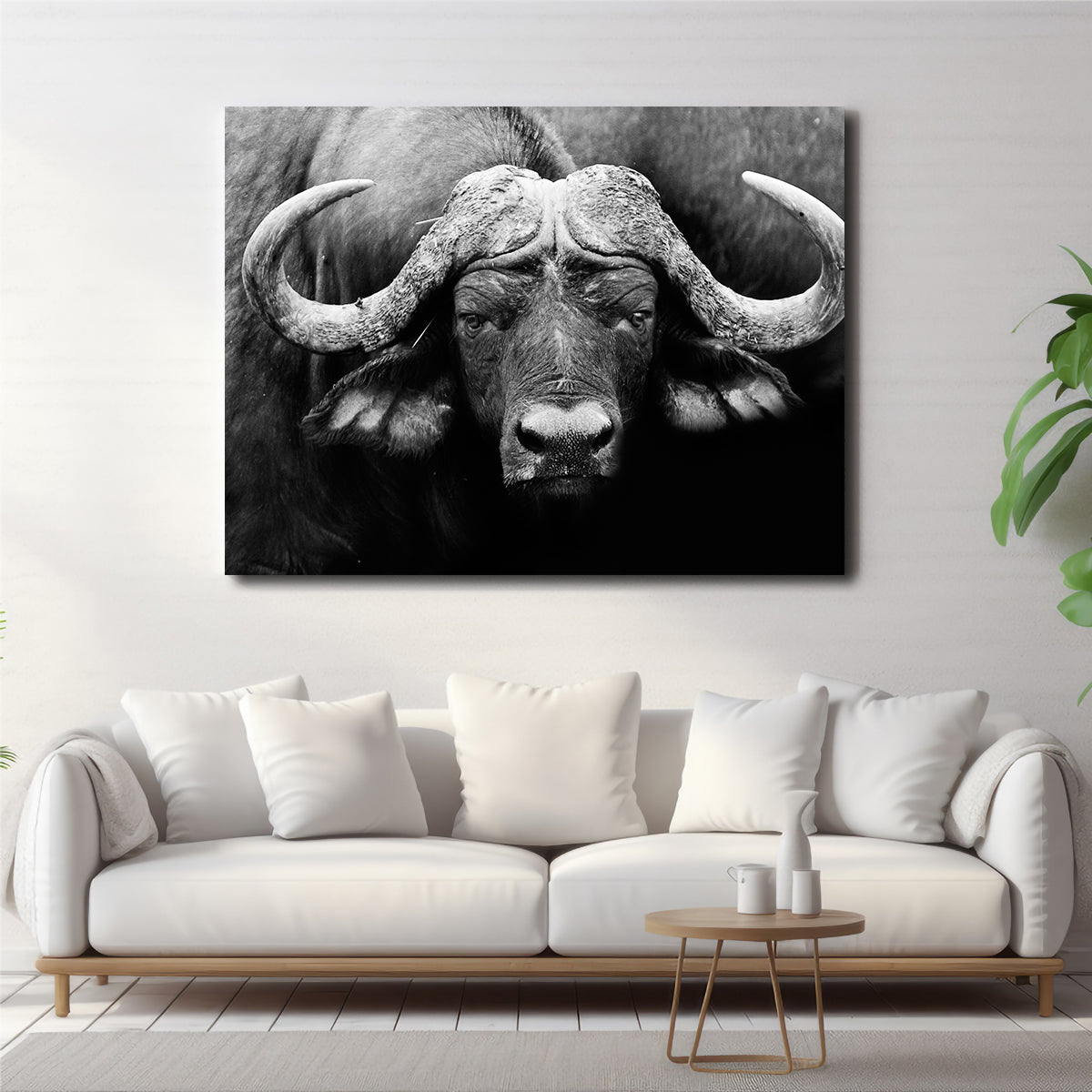 African Cape Buffalo Wall Art