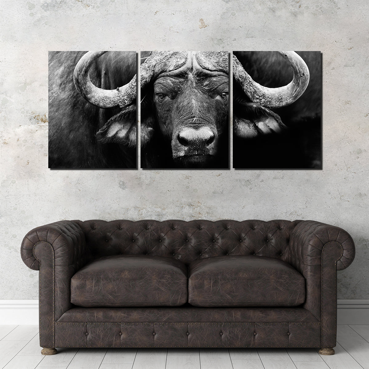 African Cape Buffalo Wall Art