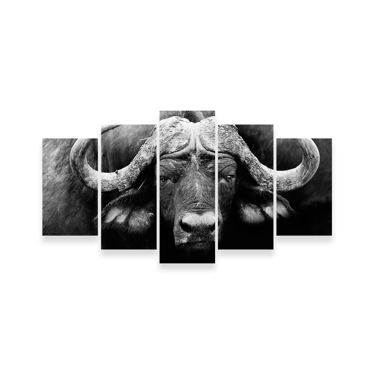 African Cape Buffalo Wall Art