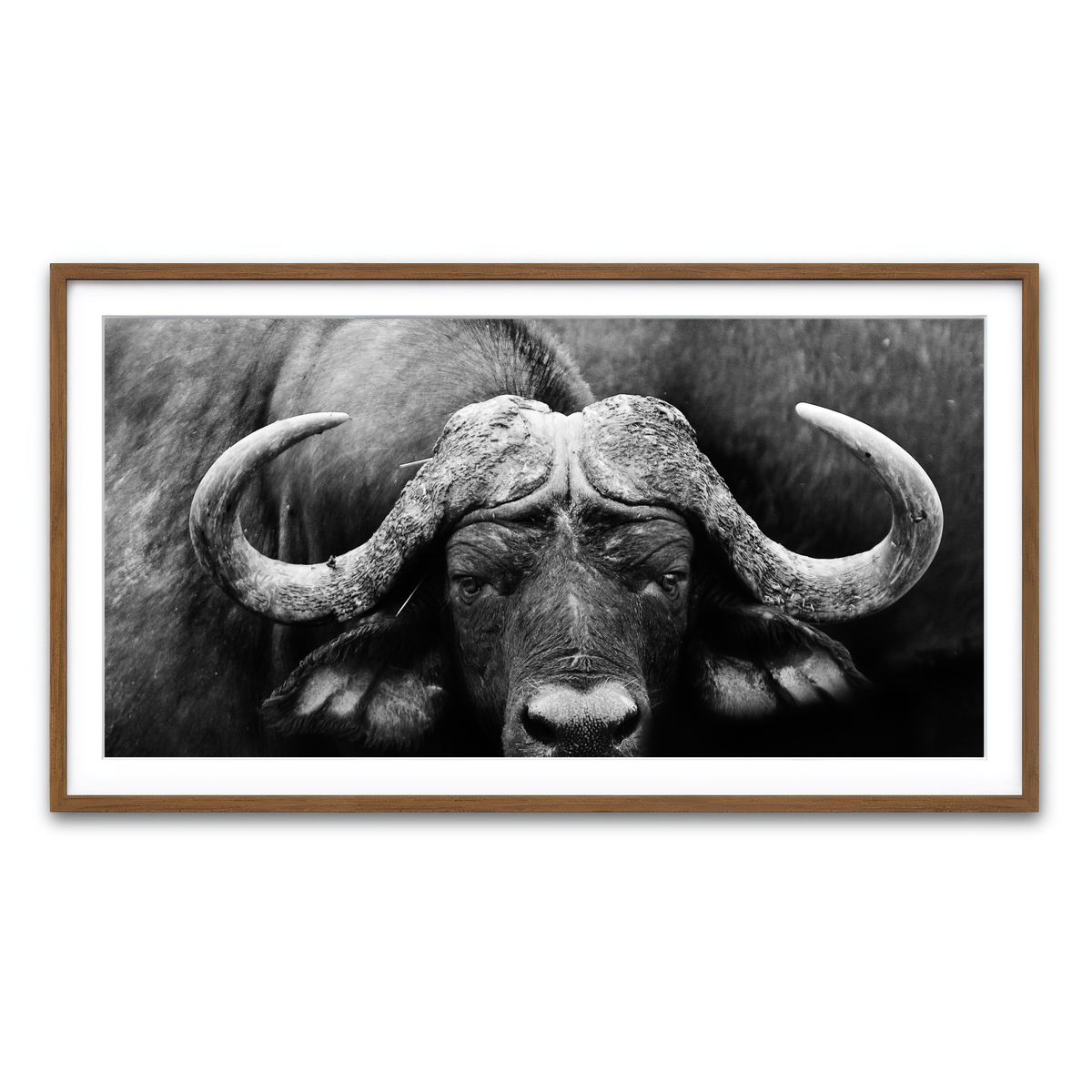 Framed Print 2x1 Walnut