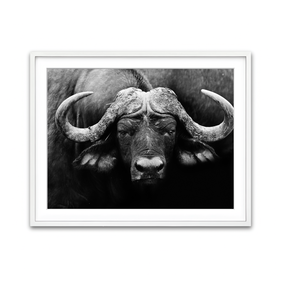 Framed Print 4x3 White