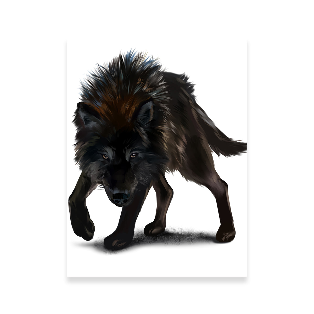 Aggressive Black Wolf Wall Art