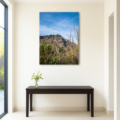 AUTO-MOCKUP ROOM | Agulhas Negras Peak from Itatiaia National Park
