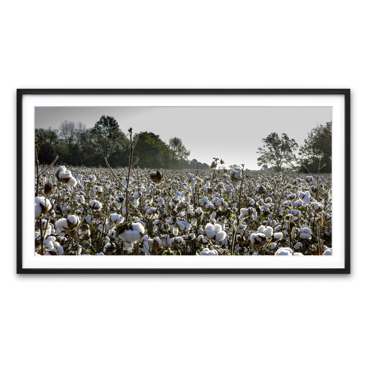 Framed Print 2x1 Black