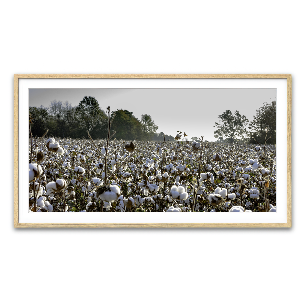 Framed Print 2x1 Natural